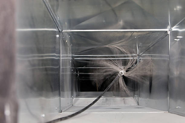 Best Air Duct Mold Removal  in Lake Sconsin, WI